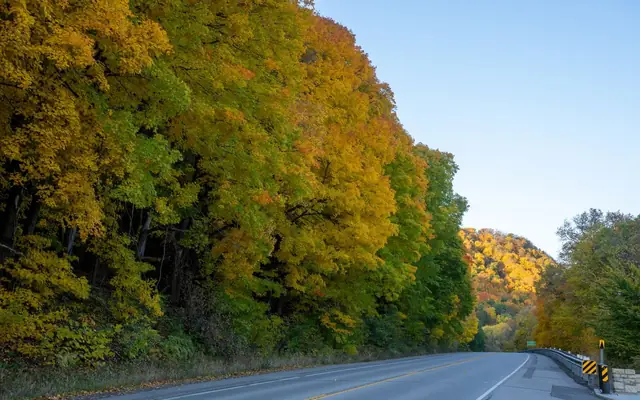 Vibrant fall foliage along a winding road in Reads Landing, Minnesota.