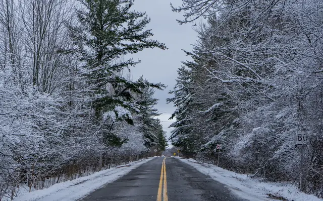 A peaceful winter road lined with snow-covered trees in Ottawa, Canada, showcasing serene natural beauty.