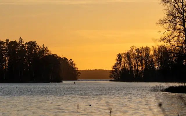 Peaceful lake landscape with trees silhouetted against a warm sunset sky.