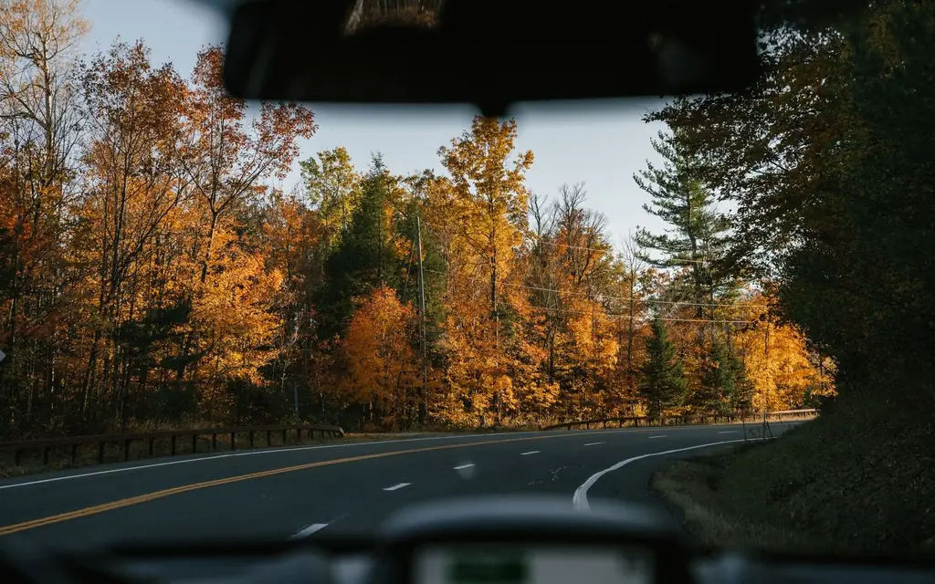 Modern car driving along curvy asphalt road amidst lush autumn trees in countryside on sunny day