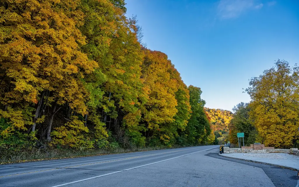 Autumn foliage along a serene road in Reads Landing, MN, showcasing vibrant fall colors.